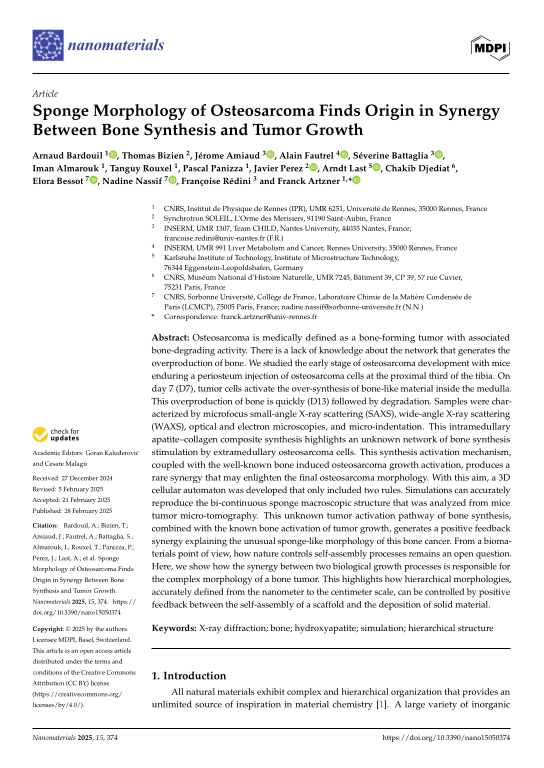 Cover der Publikation