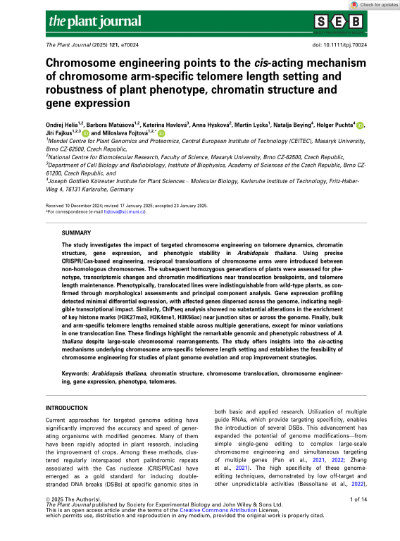 Cover der Publikation