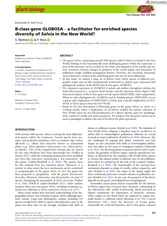 Cover der Publikation