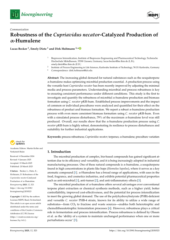 Cover der Publikation