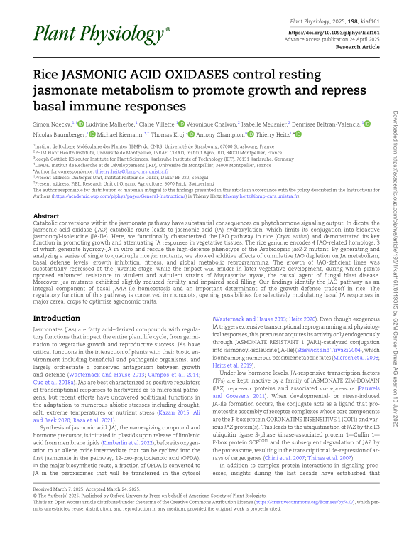 Cover der Publikation