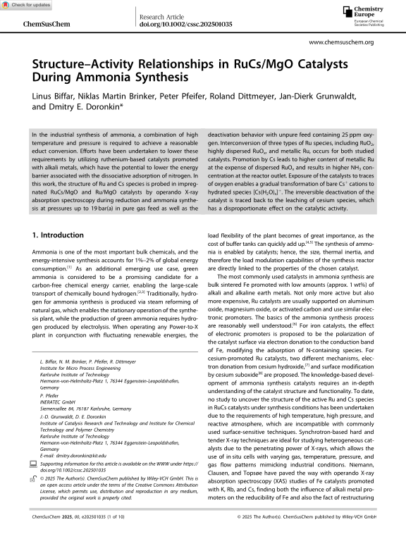 Cover der Publikation