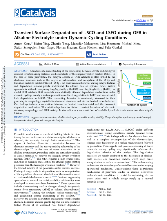 Cover der Publikation