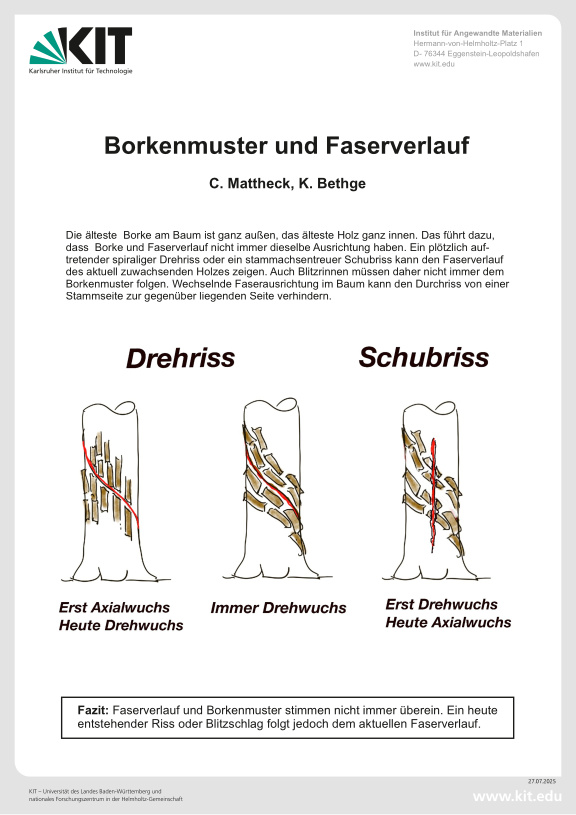 Cover der Publikation