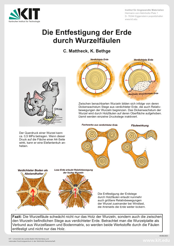 Cover der Publikation