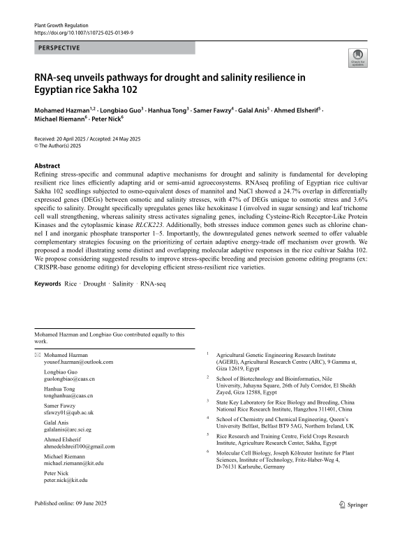 Cover der Publikation