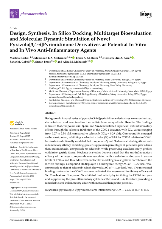 Cover der Publikation