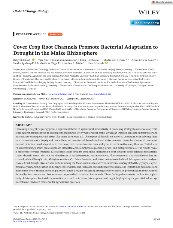 Cover der Publikation