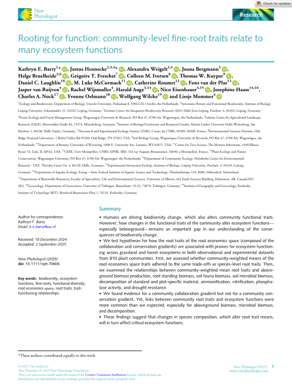 Cover der Publikation