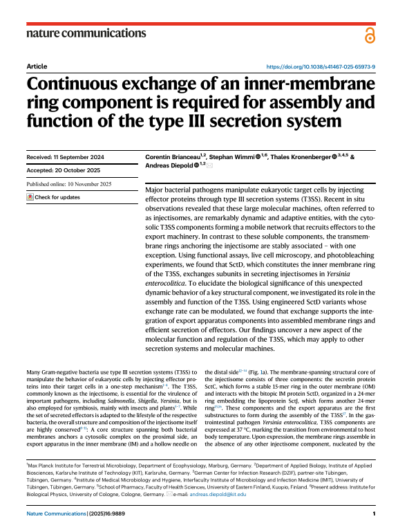 Cover der Publikation