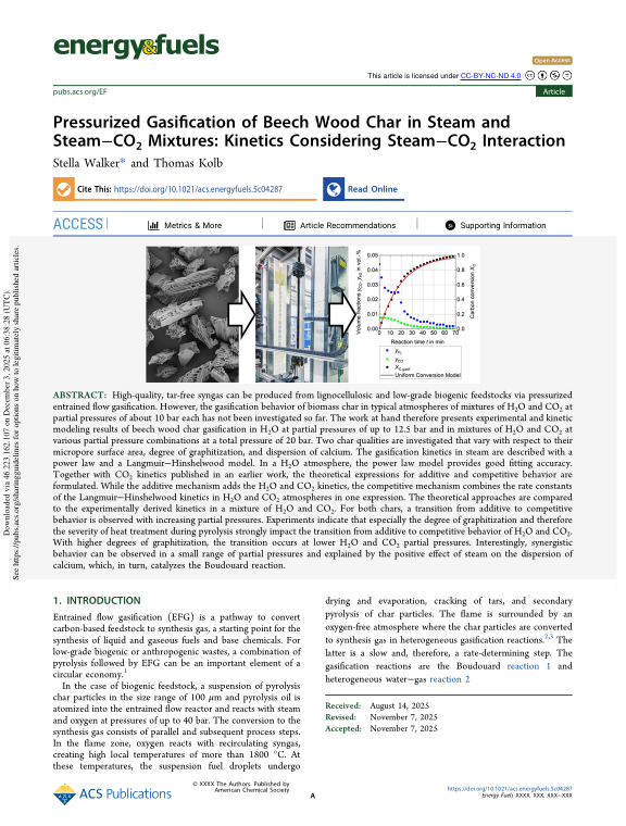 Cover der Publikation