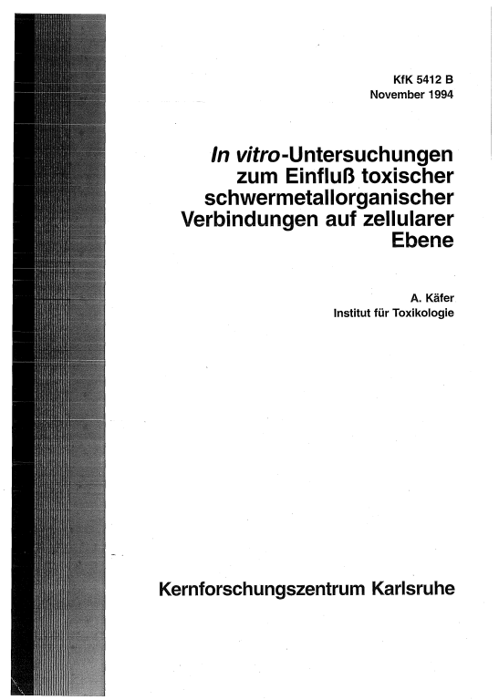 Cover der Publikation