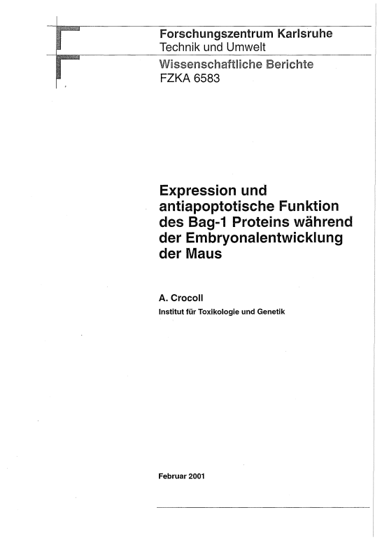 Cover der Publikation