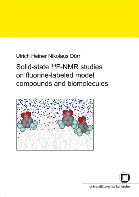 Cover der Publikation