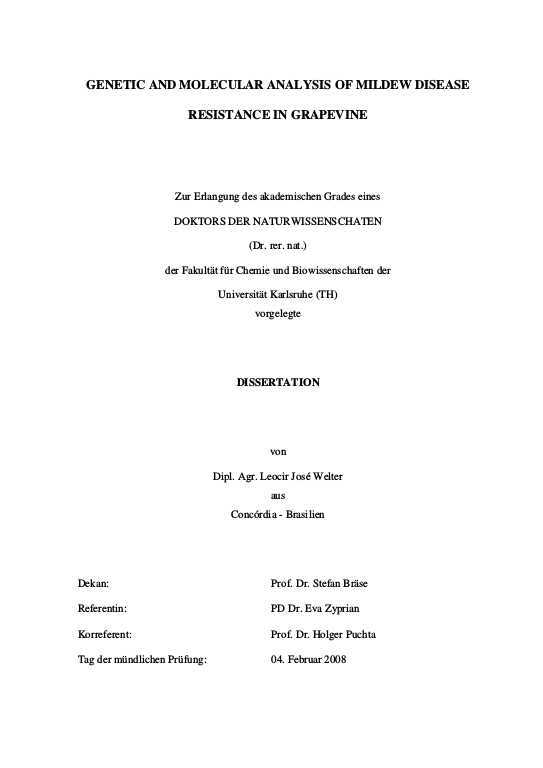 Cover der Publikation