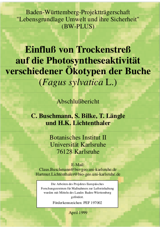 Cover der Publikation