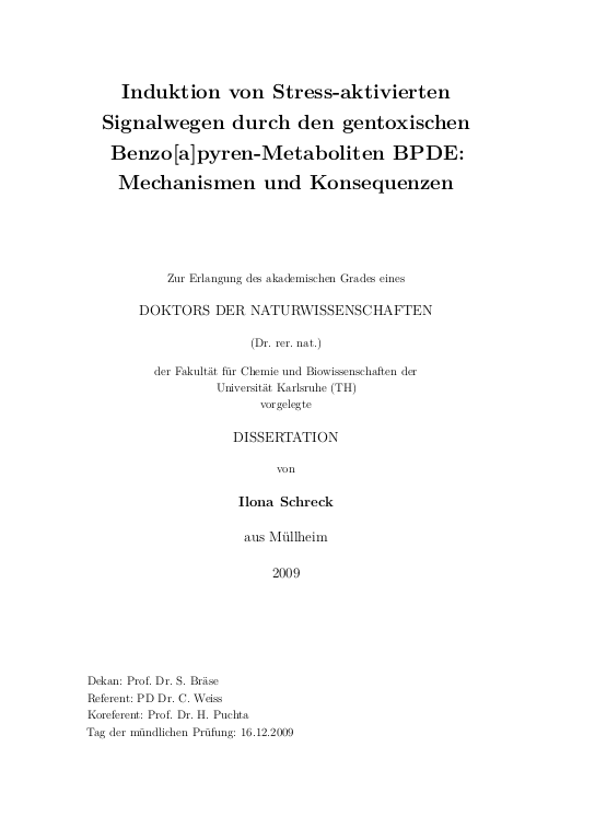 Cover der Publikation