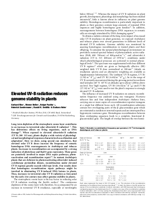 Cover der Publikation