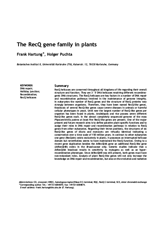 Cover der Publikation