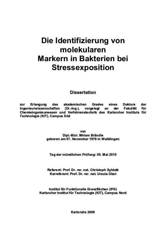 Cover der Publikation