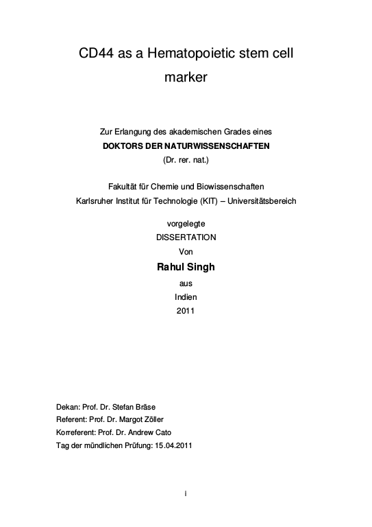 Cover der Publikation