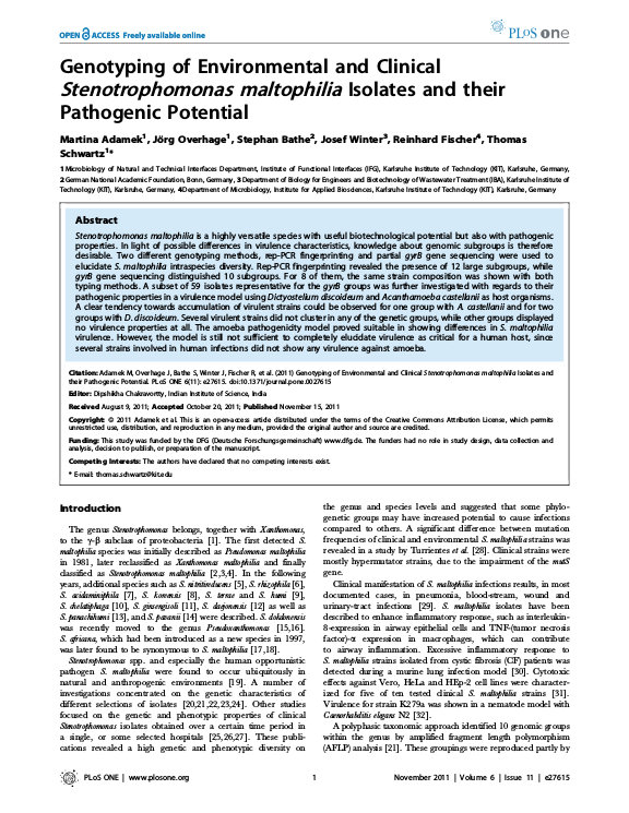 Cover der Publikation