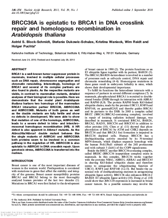 Cover der Publikation