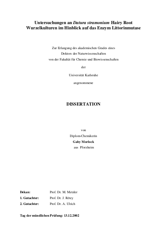 Cover der Publikation