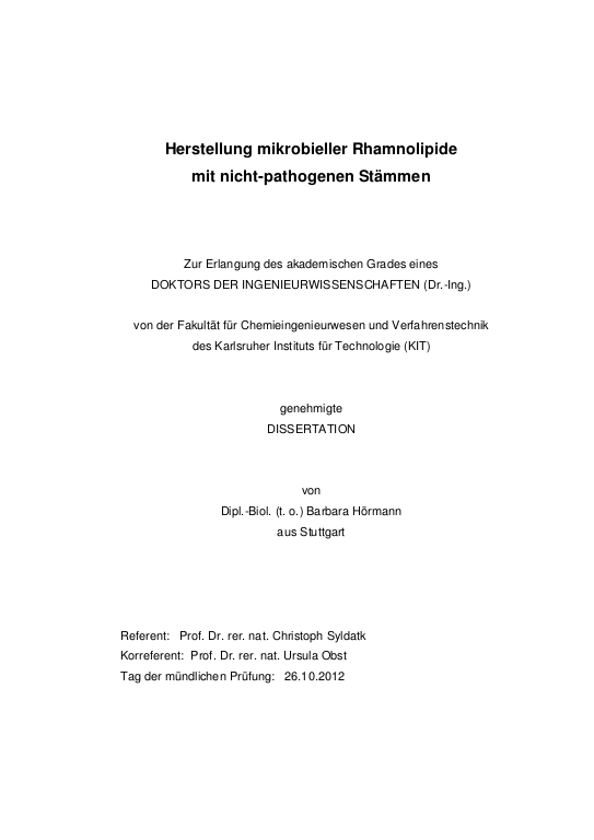 Cover der Publikation