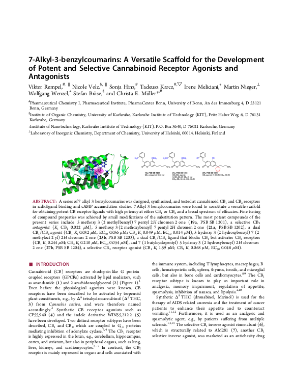 Cover der Publikation