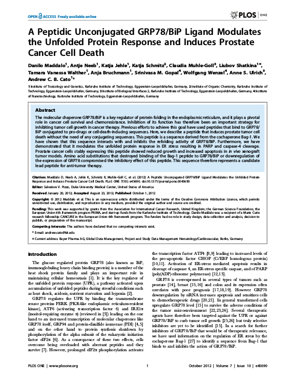 Cover der Publikation