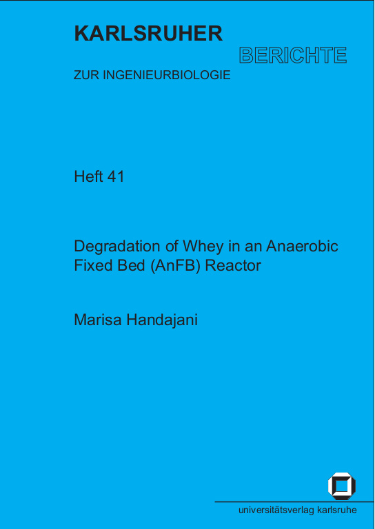 Cover der Publikation