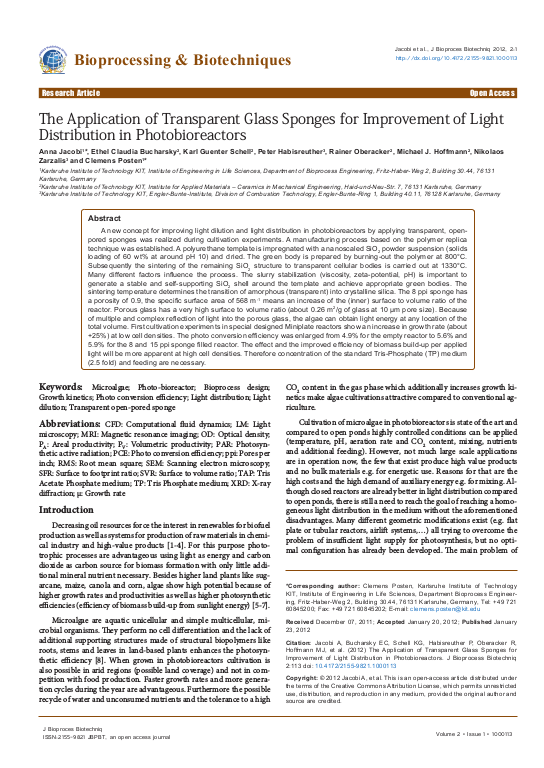 Cover der Publikation