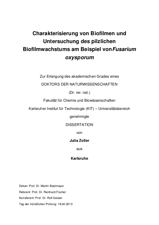 Cover der Publikation