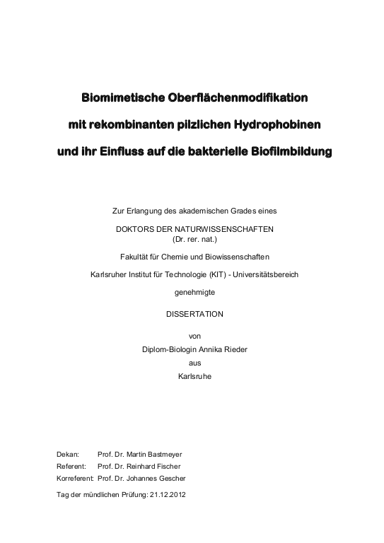 Cover der Publikation