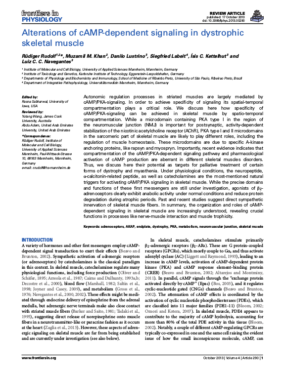 Cover der Publikation