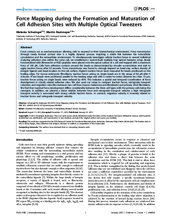 Cover der Publikation