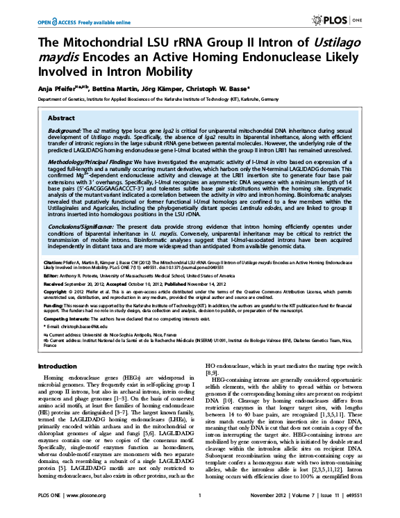 Cover der Publikation