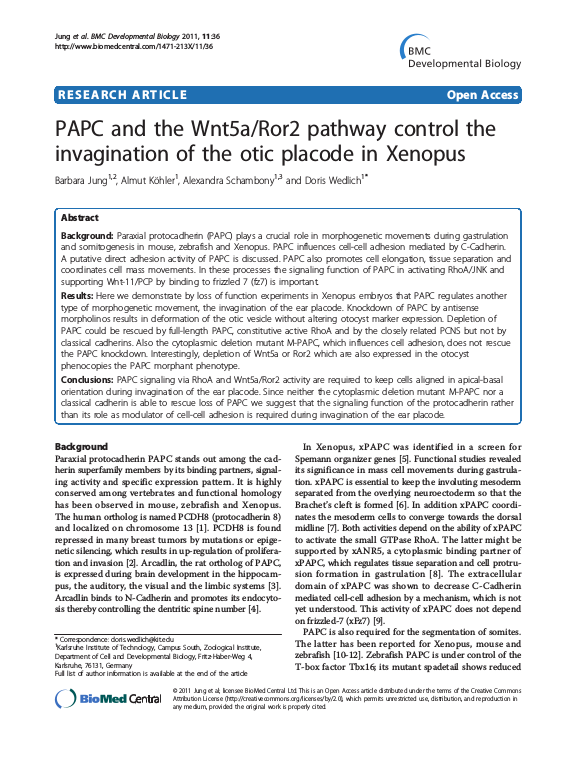 Cover der Publikation