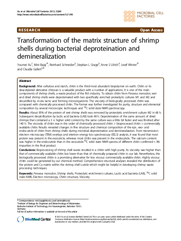 Cover der Publikation