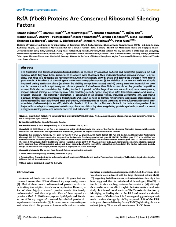 Cover der Publikation