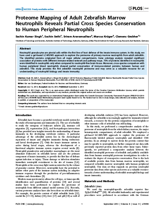 Cover der Publikation