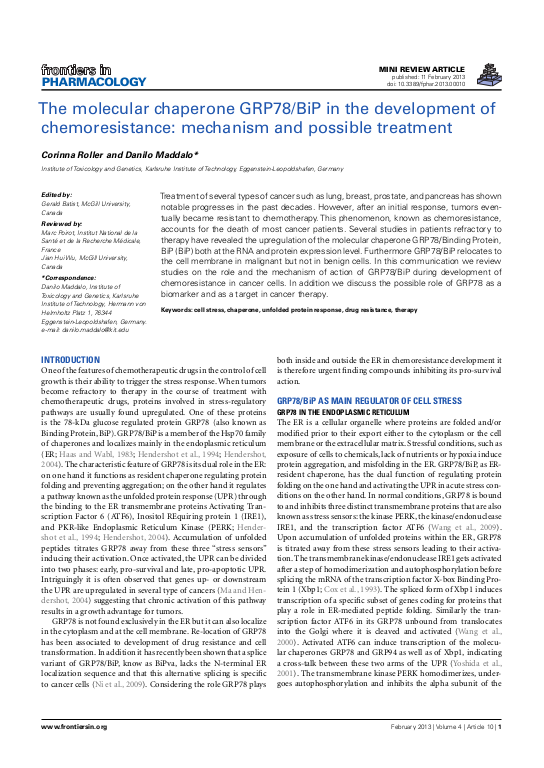 Cover der Publikation