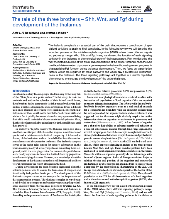 Cover der Publikation