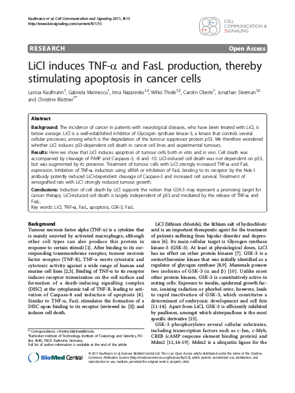 Cover der Publikation