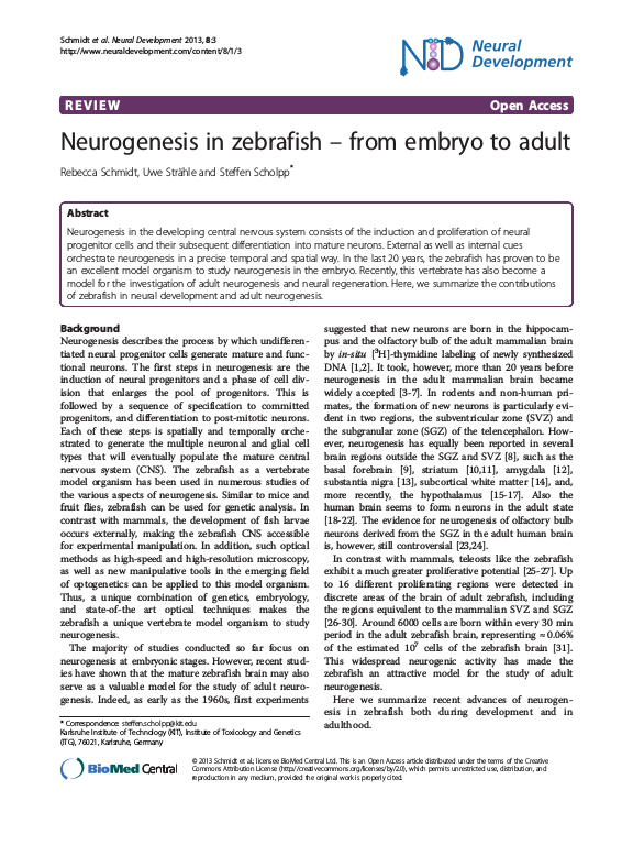 Cover der Publikation