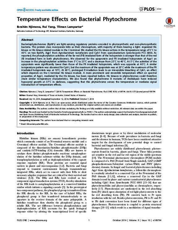 Cover der Publikation