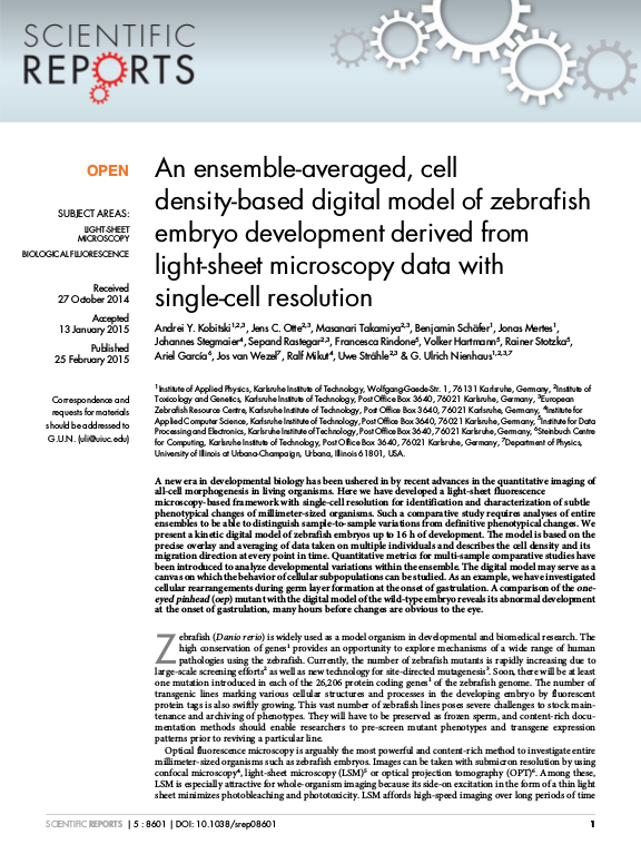 Cover der Publikation