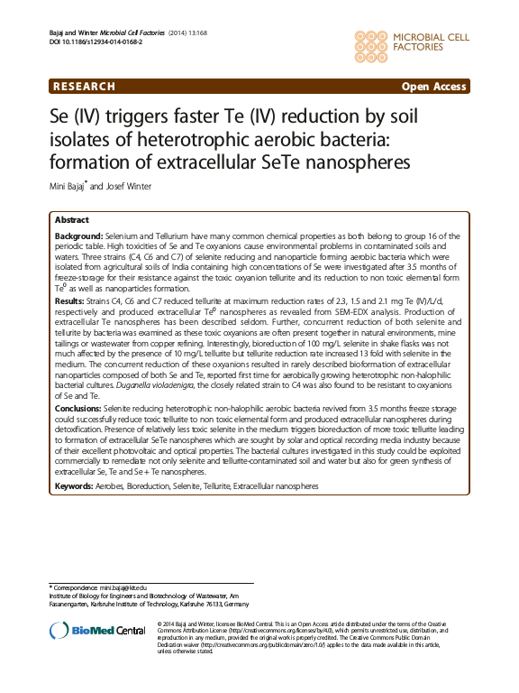 Cover der Publikation