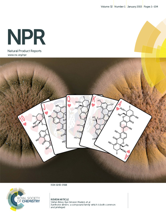 Cover der Publikation